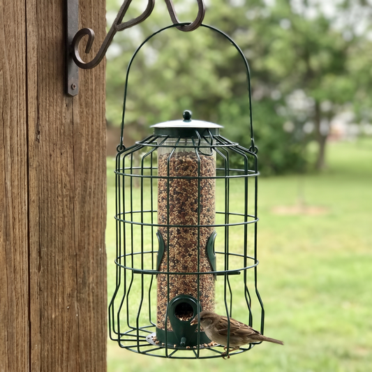 Green squirrel-proof metal bird feeder hanging on a front porch with a small bird
