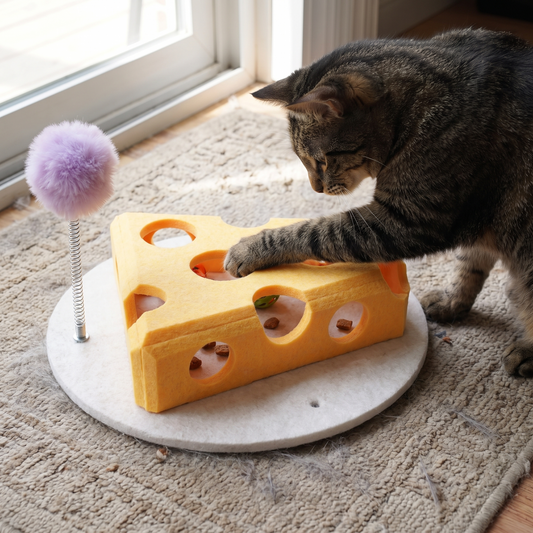 Tabby cat reaching a paw into the interactive felt cat puzzle box