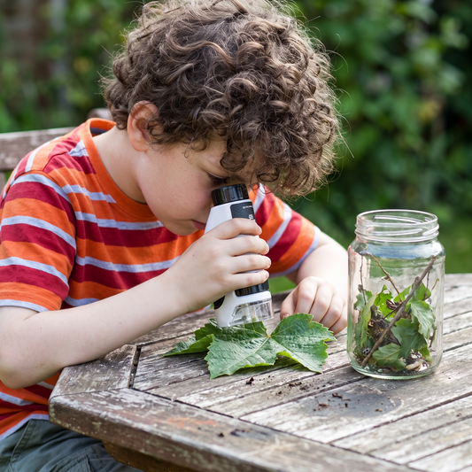 Boy using the kids handheld microscope on a leaf at a garden table